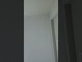 Live highlight