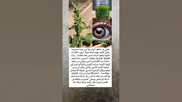 تعاني من ضعف البصر ولا ترى جيدا خصوصا بالليل اقسم بهذه النبتة سوف ترمي النظارات الطبية وتعيد شبابك 
