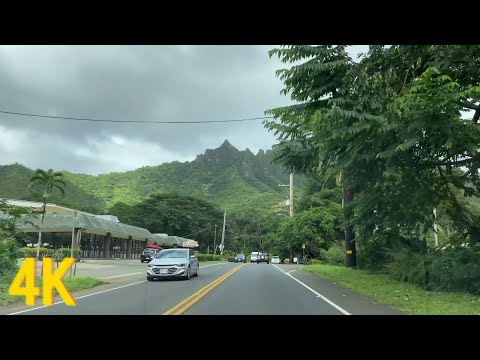 Video: Jízda na Havaji: 5 romantických silnic