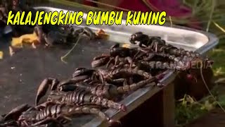 KALAJENGKING BUMBU KUNING | JEJAK SI GUNDUL