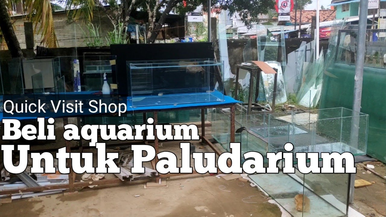 Beli aquarium  untuk paludarium di toko  kinar palembang  