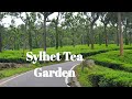 Natural beauty of sylhet  green sylhet