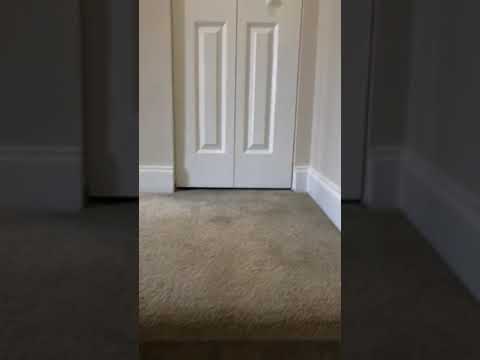 1 Bedroom Plymouth Virtual Tour