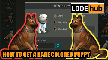 How to get a rare colored puppy || Last day on earth survival || Dog breeding event