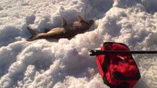 Door County Ice Fishing for Whitefish January 20, 2009 (2)