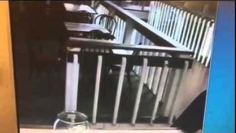 Man caught on camera stealing from tip jar at Louie