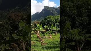 Beautiful Nature In And The Grenadines.