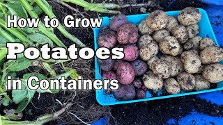 How to Grow Potatoes in Containers and Bags🥔🥔 | Easy Step by Step Planting Guide