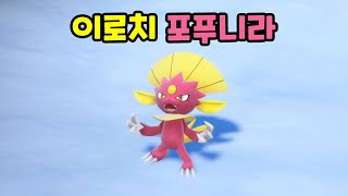 0461 이로치 포푸니라