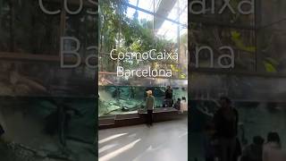 CosmoCaixa,Barcelona 🌎Лучший научный музей Европы 🦩Подпишись тут о путешествиях и не только