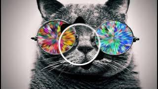 Climo- Bass Level-#MúsicaEletrônica#HouseMusic#DanceMusic#Edm#Remix#Psytrance#Hardstyle#Dubstep.