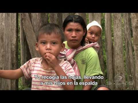 Trailer MADRES DE LA DROGA Documental