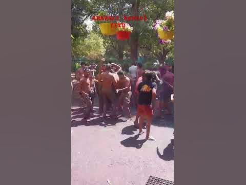 holi in ajmer trip iitd