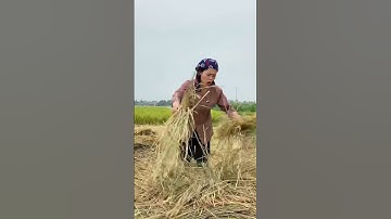 Vơ càng nhiều càng được nhiều tiền à, thế cho con làm với nhé