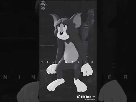 مهرجان صفر الميه الحاله ضنك