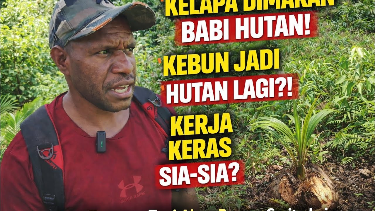 Saya Berusaha Alam Bertindak Lain 