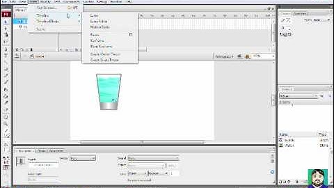 Adobe Flash CS3: Working With Graphics