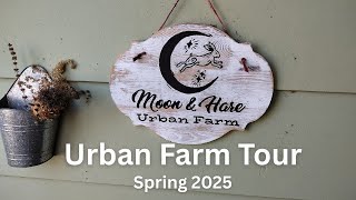 Urban Farm Tour Spring 2025 - Urban Homestead Tour Eugene Oregon