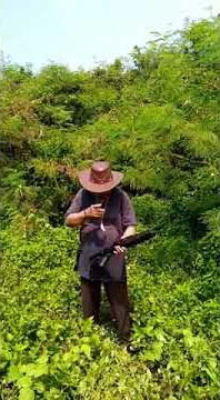 Abah vandugil si Raja pikun ternyata pawang singa #komedi #ngakakkocak#shorts