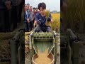 🌾⚙️ Manual Rice Threshing Using a Roller-Based Grain Separation Tool