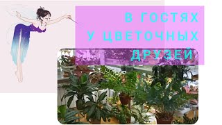 В гостях у "Цветочной подруги" Татьяны! Обзор в цветочном раю 😍😍😍!Волгоград 17.04.2024 г.