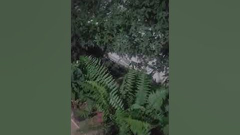 تلاوة رائعة بصوت ندي -تلاوة هادئة تريح الاعصاب -قرآن كريم -بصوت جميل جدا نور الدين-سورة نوح -2021