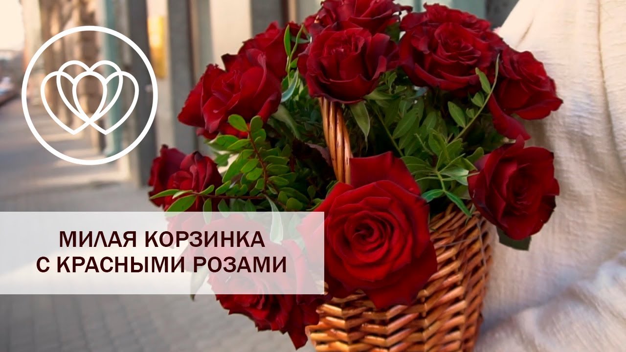 Пять Плюс Розы Интернет Магазин