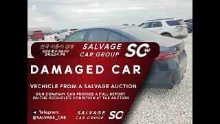 WBY43FK06RCP59402. BMW