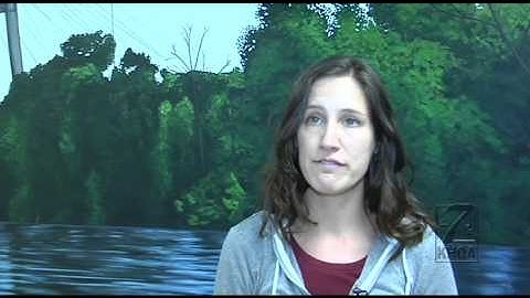 Local artist brings library-goers a new mural