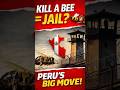 Bees Have Legal Rights?! | Shocking Law in Peru