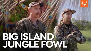 Big Island Jungle Fowl | Cal in the Field by MeatEater 146,756 views 1 month ago 21 minutes