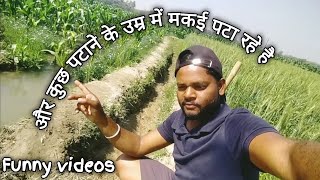 मेरा गेहूं से हवा सुख गया 😛 गलत बात है भाई funny videos Mini vlog ll #viral #vlog #vlogs #video