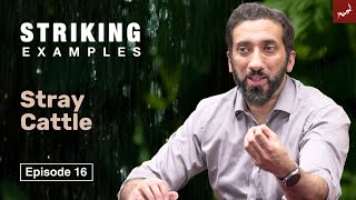 Stray Cattle | Ep. 16 | Striking Examples From The Quran | Nouman Ali Khan screenshot 1