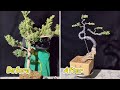 How to create a Bonsai tree (DIY) - Beautiful bonsai bending skills that will surprise you #13