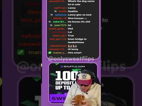 Melhores Jogos do Cassino Online: Descubra o Shuffle Jogos e Muito Mais!