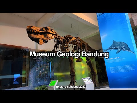 Video: Deskripsi dan foto Museum Geologi (Museum Geologi Nasional) - Mozambik: Maputo