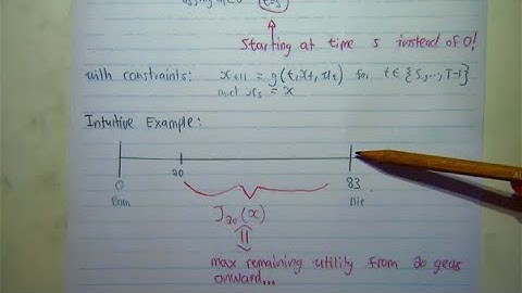 Dynamic Programming in Discrete Time