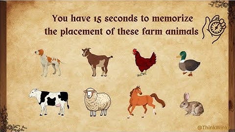 BRAIN STIMULATING GAME 🤯😍 memory test #intuitiontest #testyourskills #braingames #brainstimulation