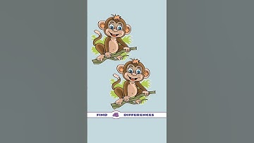 Find four differences,#598 #quiz