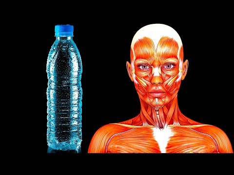 Video: Wasserdiät - Funktionen, Menüs, Vor- Und Nachteile