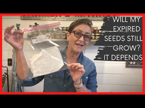 Video: Expired Seeds