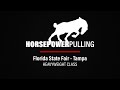 2020 Horse Pull Championship Heavyweights - Florida State Fair - Tampa, Florida
