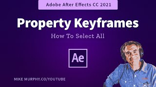 After Effects CC 2021:  Select All Transform Property Keyframes