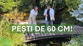 This is what a garden of only 200 square meters looks like after 14 years I Flowers, trees, bonsa...