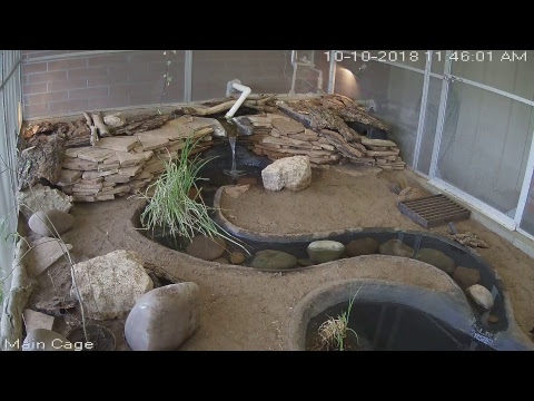camera iphone 8 plus apk NAU Vivarium Live Stream