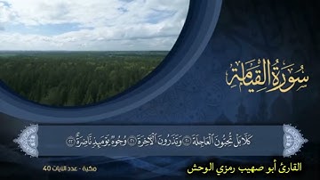 سورة القيامة بصوت القارئ# أبو صهيب رمزي الوحش 
