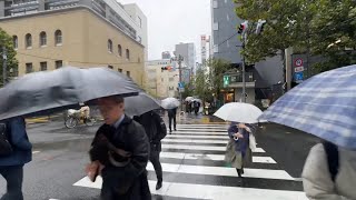 Tokyo rainy walk, Japan