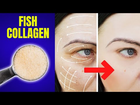 Fish Collagen: Everything You Need To Know