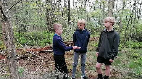 Gustaf and Will Documentary