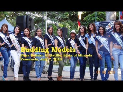 Budding Models of Venezuela